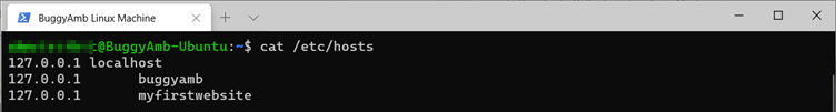 Screenshot of cat host command.