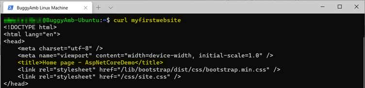 Screenshot of curl first web command.