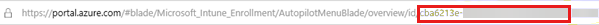 Screenshot of the URL in the address bar.