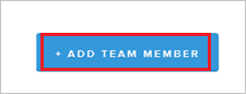 Screenshot shows the Add Team Member button.