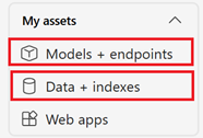 Screenshot of my assets section in the Foundry.