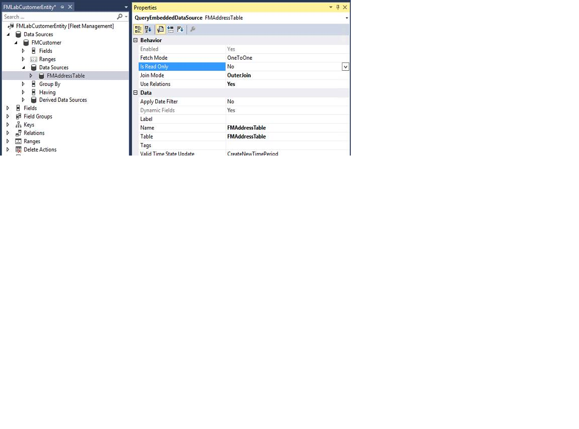 Screenshot of FMLabCustomerEntity - Properties2.