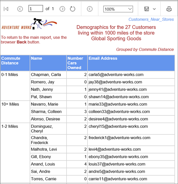 Screenshot of the Report in the Reporting Services web portal.