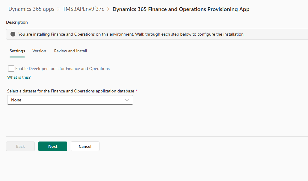 Screenshot of the Settings step showing the developer tools checkbox and application database dataset dropdown.