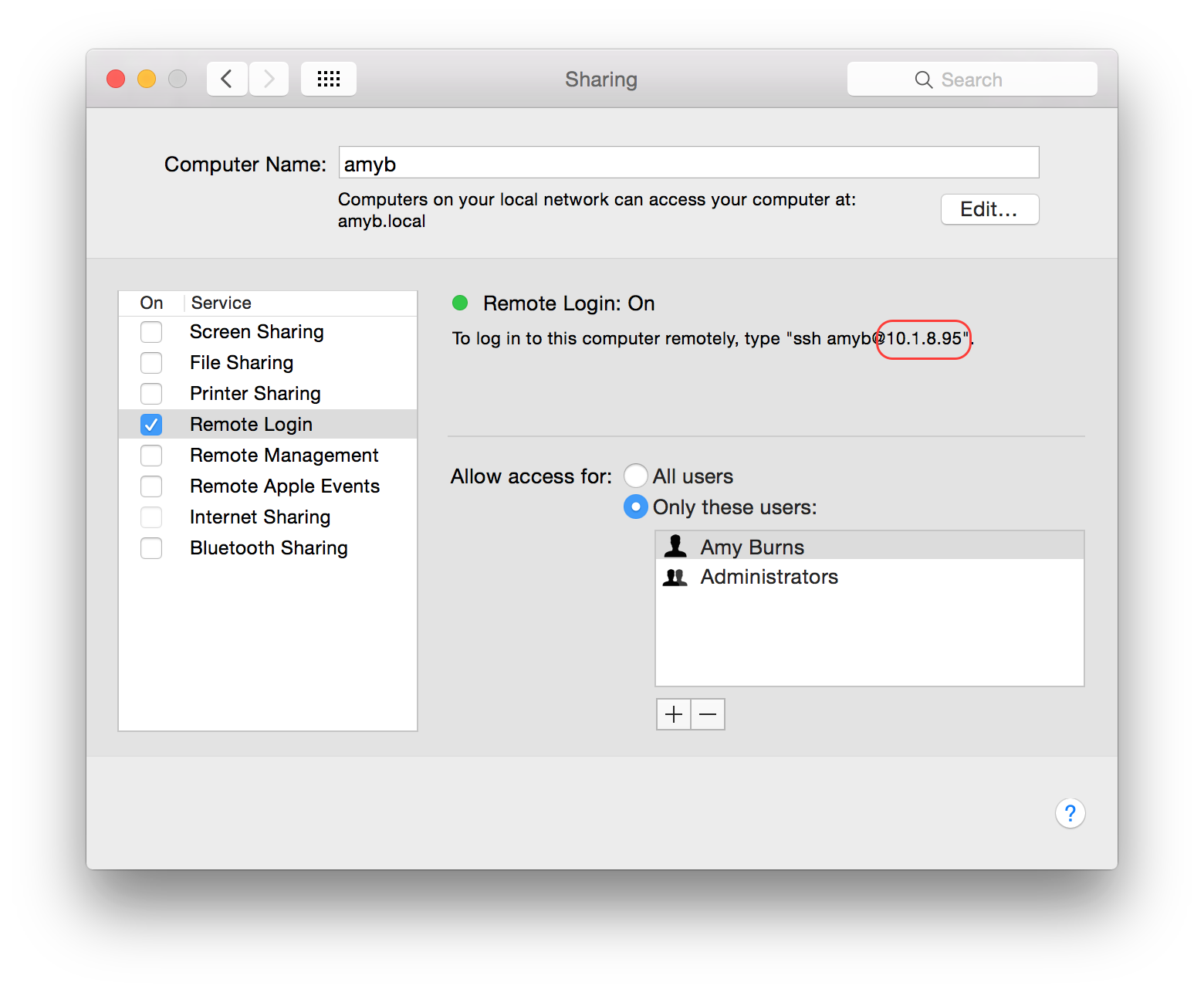 The IP address in the System Preferences app