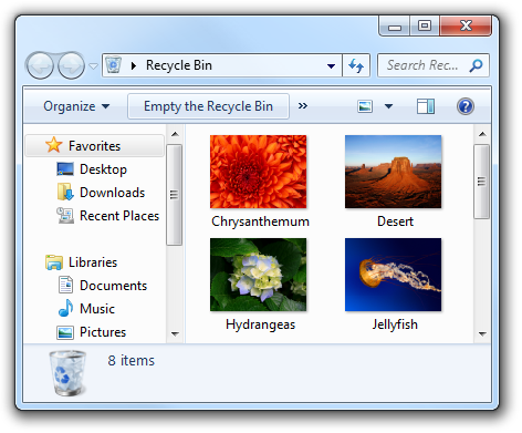 screen shot of 'empty recycle bin' dialog box