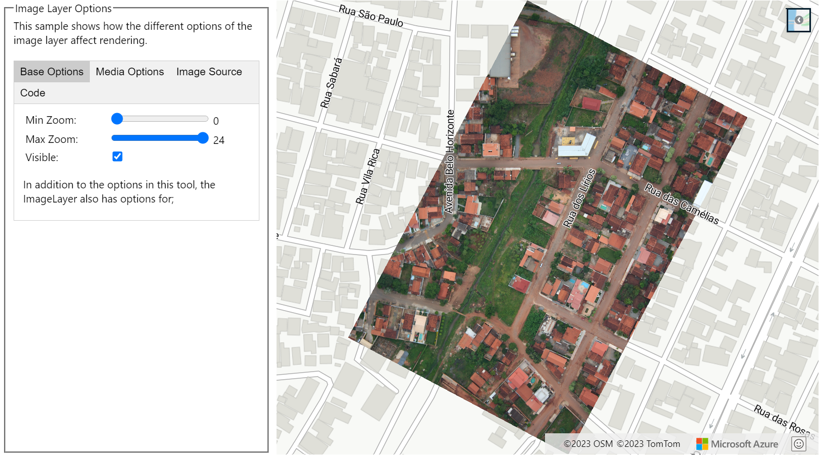 A screenshot showing a map with a panel that has the different options of the image layer that affect rendering. In this sample, you can change styling options and see the effect it has on the map.