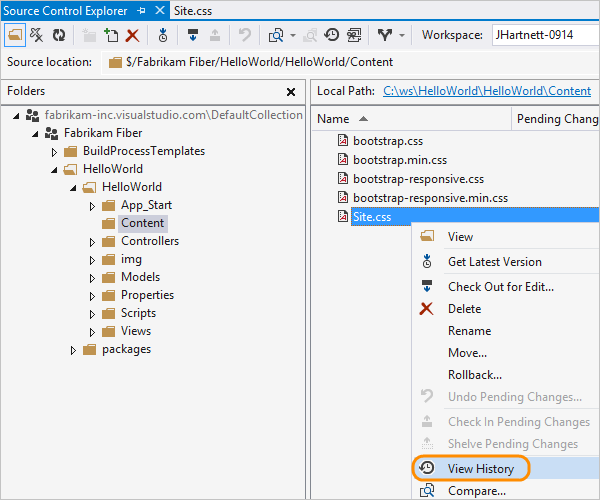 Source control explorer, source file context menu, view history