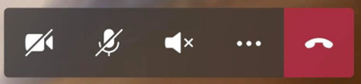 Image of the Call controls.