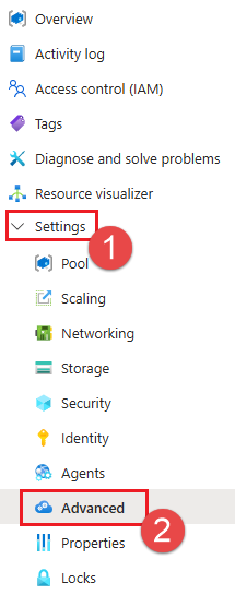 Screenshot that shows the Advanced settings menu.