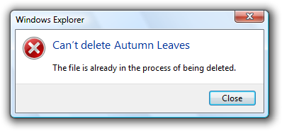 screen shot of message: can't delete file