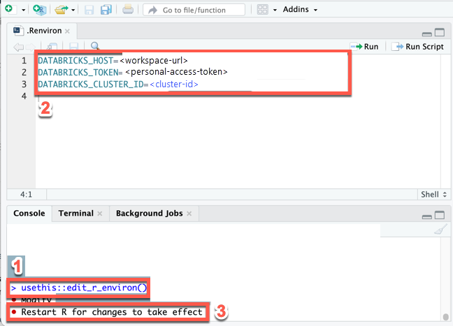 Set the environment variables for Databricks Connect