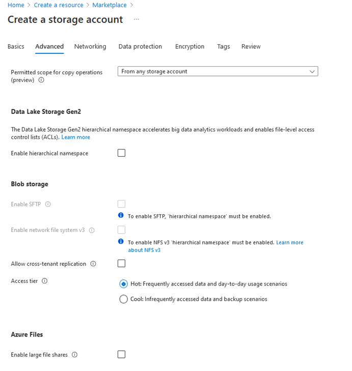 Screenshot of the Advanced Options panel when creating a new storage account.
