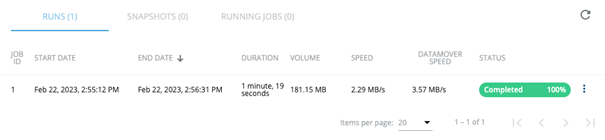 Screenshot of the output of the runs details overview pane.