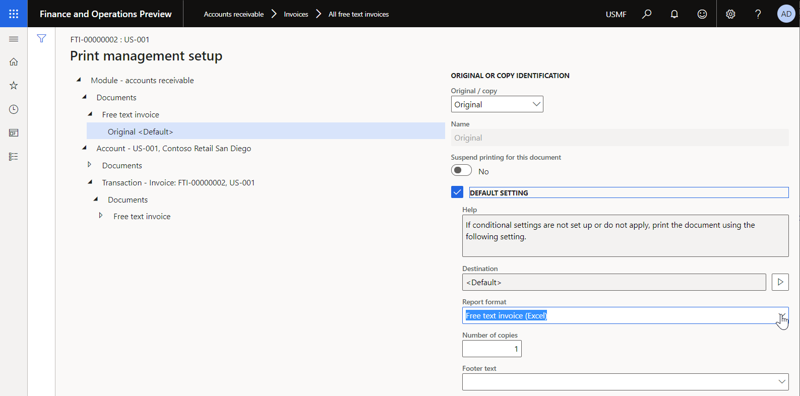 Screenshot of print management settings for a free text invoice in the standard ER format on the Print management setup page.