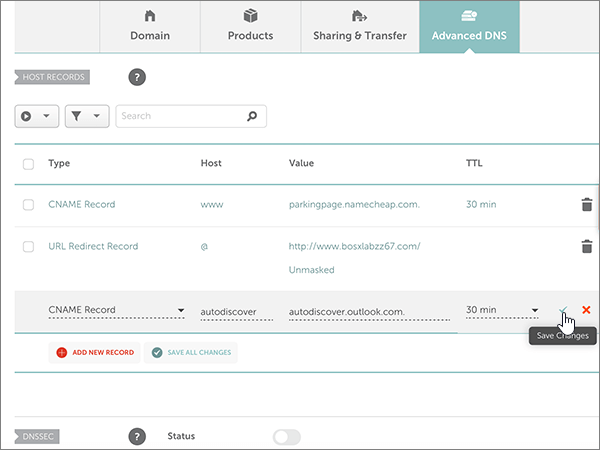 Screenshot of the the Save Changes control for the CNAME record.