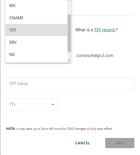 Select TXT from the Type drop-down list for the domain verification TXT record.