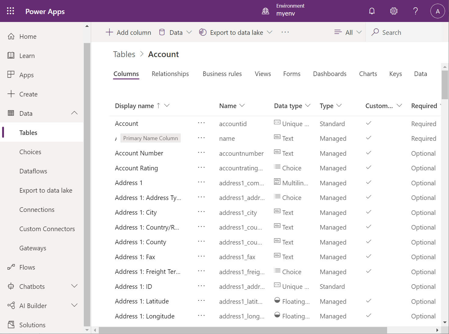 The Account table in Dataverse.