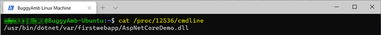 Screenshot of cat command.