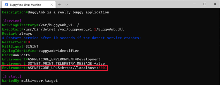 Screenshot of sudo vi command.