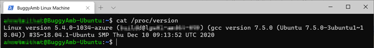 Screenshot of cat version command.
