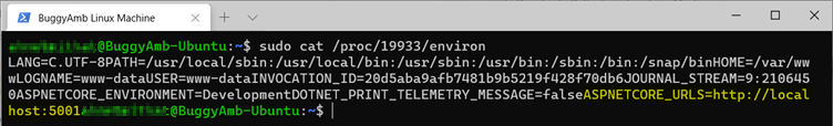 Screenshot of sudo cat environ command.