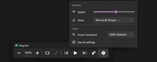 Screenshot showing the new magnifier zoom options.