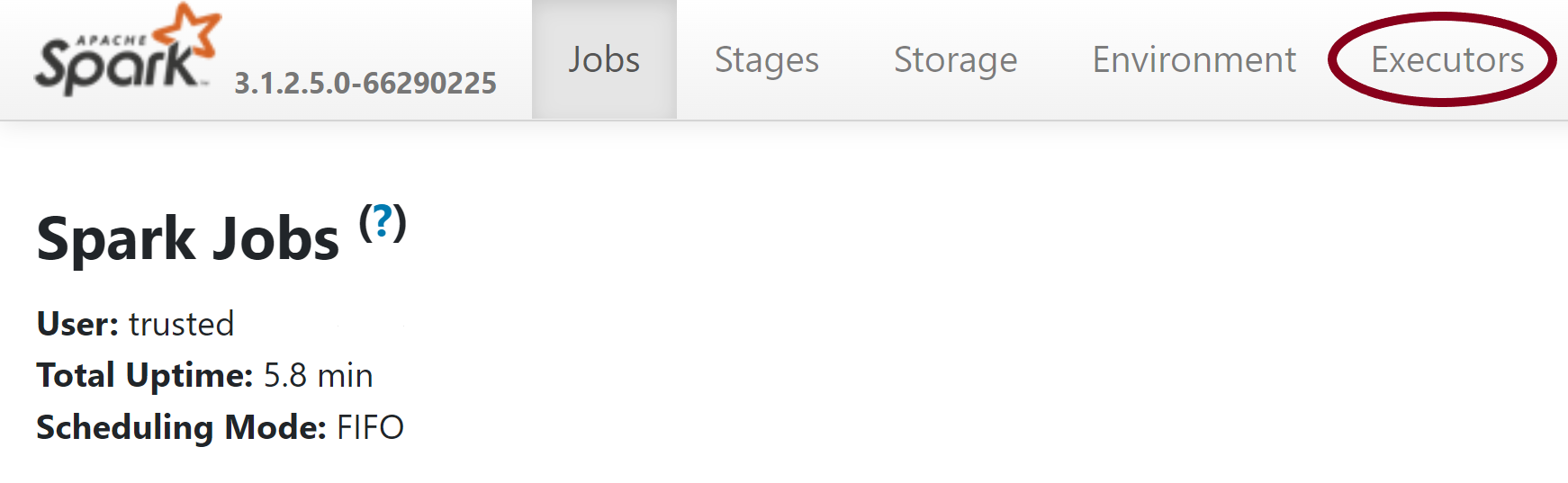 View the job details in the spark history server page Screenshot that highlights the job details in the spark history server page for the failed system reserved library job.