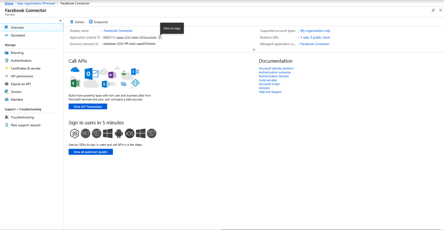Screenshot of the application overview page showing the Application ID and Directory ID values to copy.