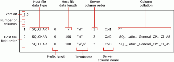 Diagram detailing the default non-XML format file for mytestskipcol.