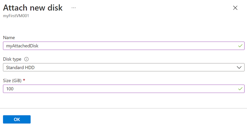 Screenshot of the Attach new disk form.