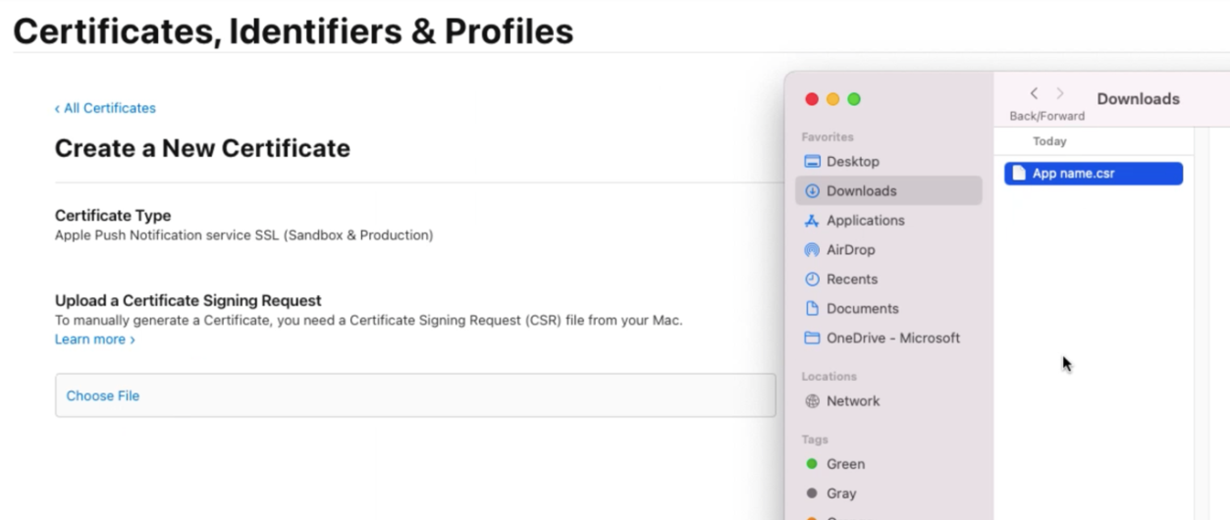 Screenshot of the area for choosing a certificate file.