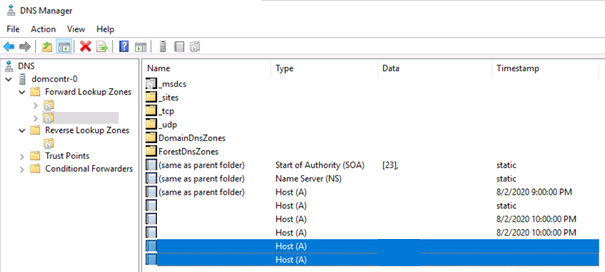 A screenshot of the Windows DNS Manager with multiple entries in a forward lookup zone.