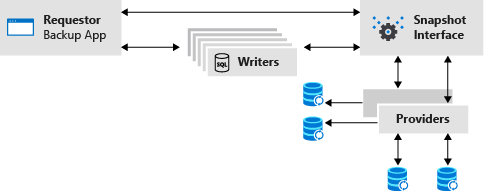 Diagram showing how VSS provides coordination between parties.