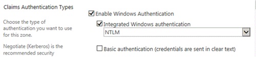 Authentication type setting for a web application.