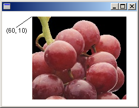 screen shot of a window that contains an image, with a callout for the origin point