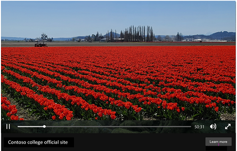 Video extension with Search ad on mobile.