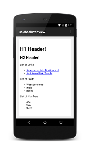 WebView on an Android device