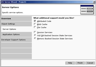 Figure 13 The Server Options Tab