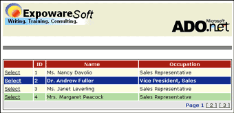 Figure 2 Selected Style