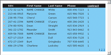 Figure 23 .NET DataGrid