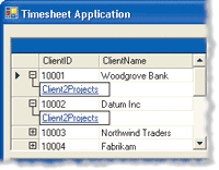 Figure 5 DataGrid with Relations
