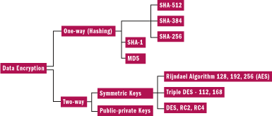 Figure 6 Data Encryption Schemes