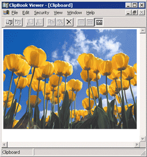 Figure 1 The Clipboard Viewer