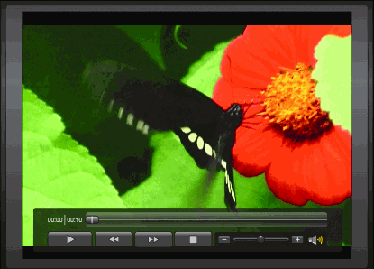 Figure 8 Media Control Displays Video