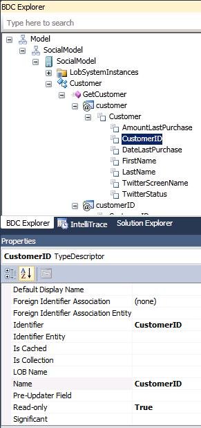 Using the BDC Explorer Pane to Set Properties of the TypeDescriptors