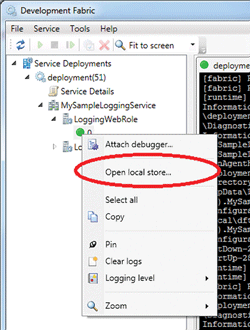 Figure 8 Opening Logs Saved to Local Development Fabric Storage