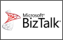BizTalk - Batching EDI Data in BizTalk Server 2010 