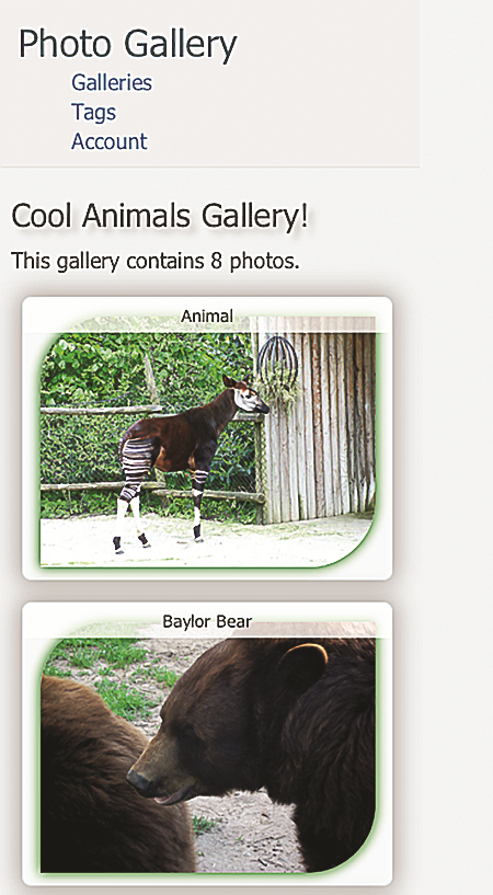 The Gallery with Better Navigation and Image Boxes