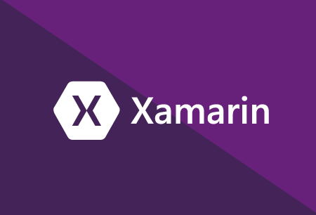 Xamarin.Forms - How Xamarin.Forms Customization Took an FAA Drone App Higher